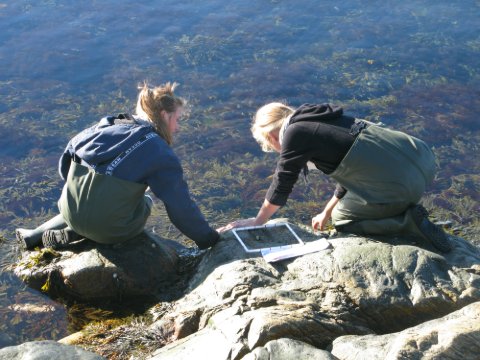 Two researchers in waders kneeling on a rock, placing a quadrat frame at the edge of clear water.
